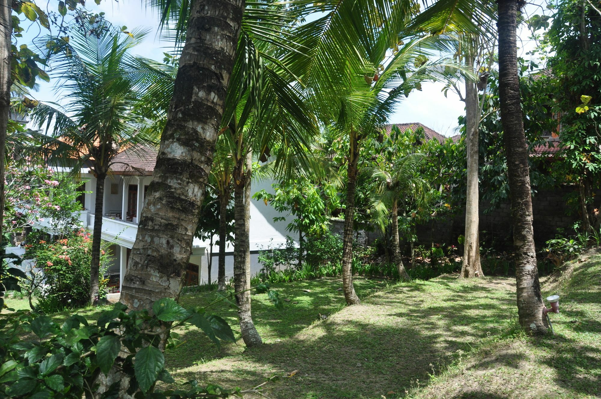 Argasoka Bungalows Ubud Exterior foto